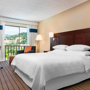 Deluxe Patio Guest room 1 King